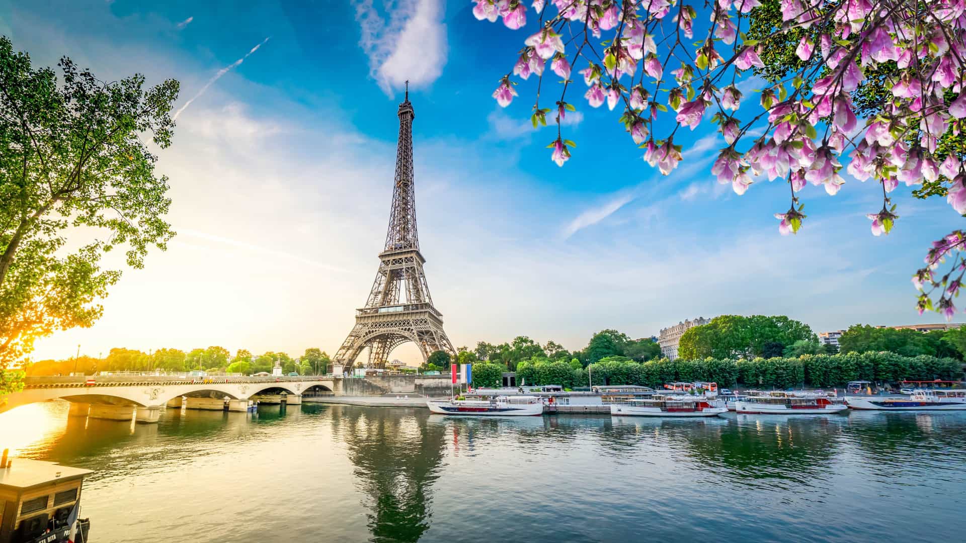 View of the Eiffel Tower in Paris, France, from the Seine River during spring, with blooming cherry blossoms and river cruise boats docked along the bank, a highlight of AmaWaterways cruises.