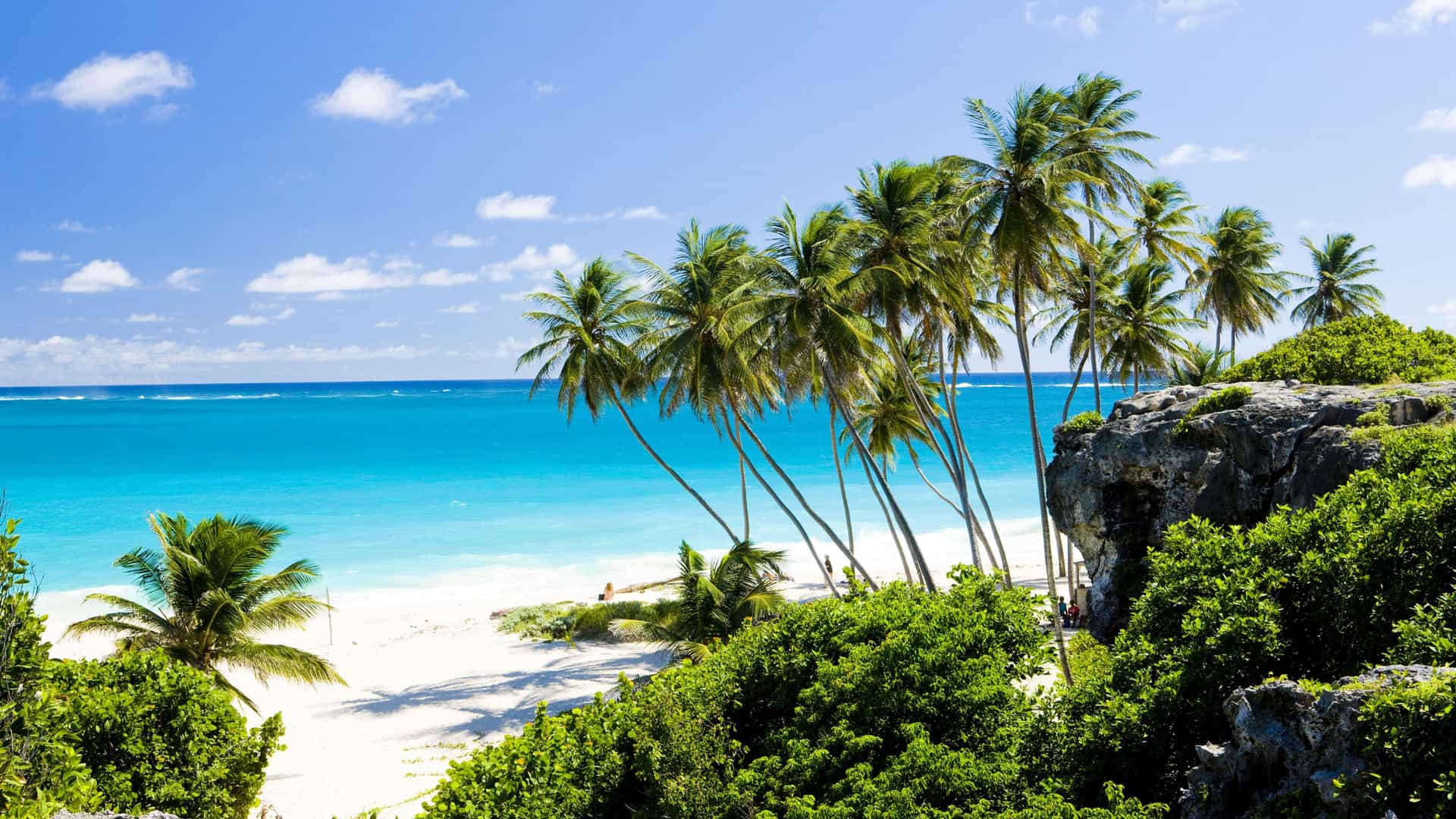 A beautiful tropical beach in Barbados with turquoise water and palm trees, a highlight of Azamara Cruises' Caribbean itineraries.