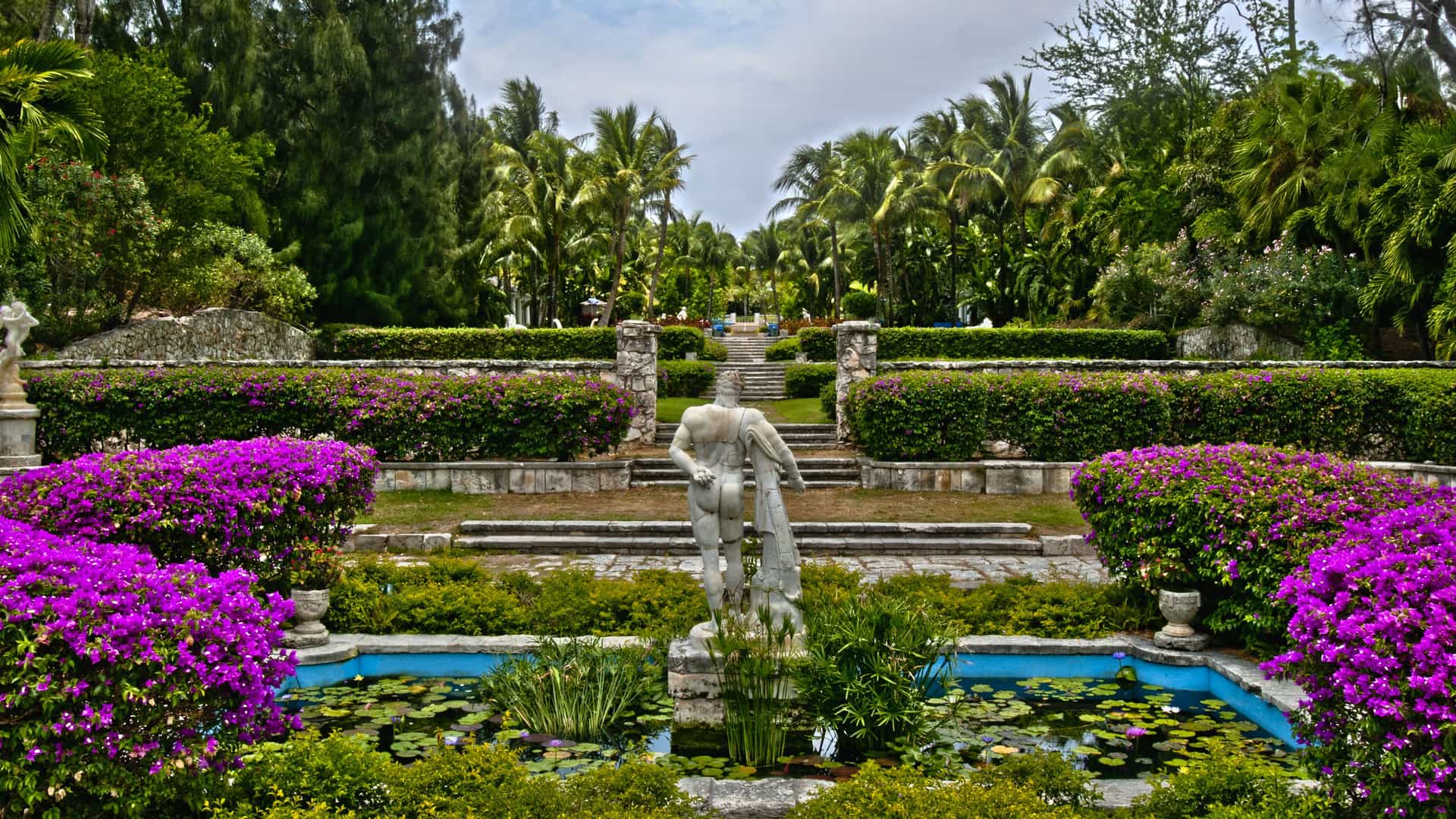 A beautiful view of the tiered Versailles Gardens on Paradise Island in the Bahamas. In the foreground, a blue tiled pond with water lilies surrounds a white classical statue of a nude male figure with his back to the camera. The statue is surrounded by lush green foliage and vibrant purple bougainvillea bushes. Stone steps lead up through a series of manicured lawns and hedges toward a distant, ornate gazebo, framed by tall palm trees. The sky is partly cloudy, adding a dramatic flair to the serene and formal garden landscape of the Bahamas.