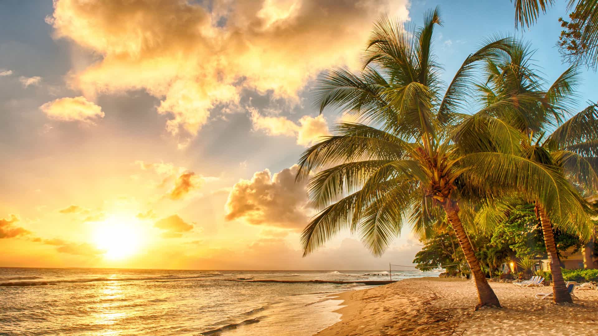 Golden sunset over a tropical beach with silhouetted palm trees, a serene view often enjoyed on Carnival Transpacific cruises.