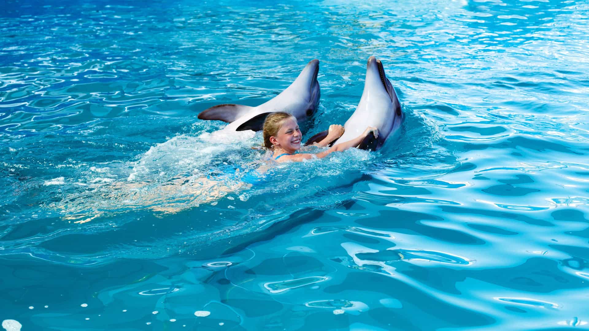 Child smiling with two dolphins in clear water; a joyful Carnival Western Caribbean cruise excursion.