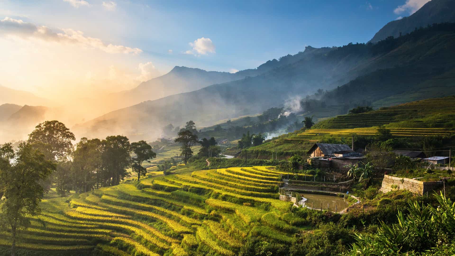Sunrise over layered rice terraces in Vietnam, highlighting lush greenery during a Carnival Asia cruise.