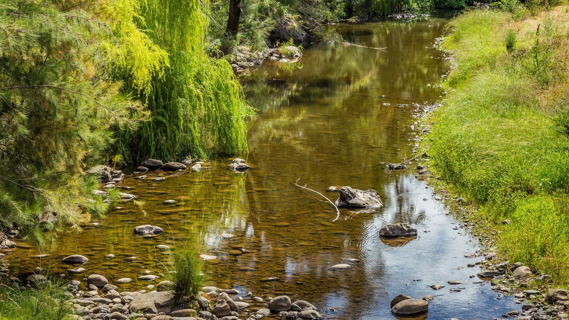 Hunter River in Kimberley, Australia. 