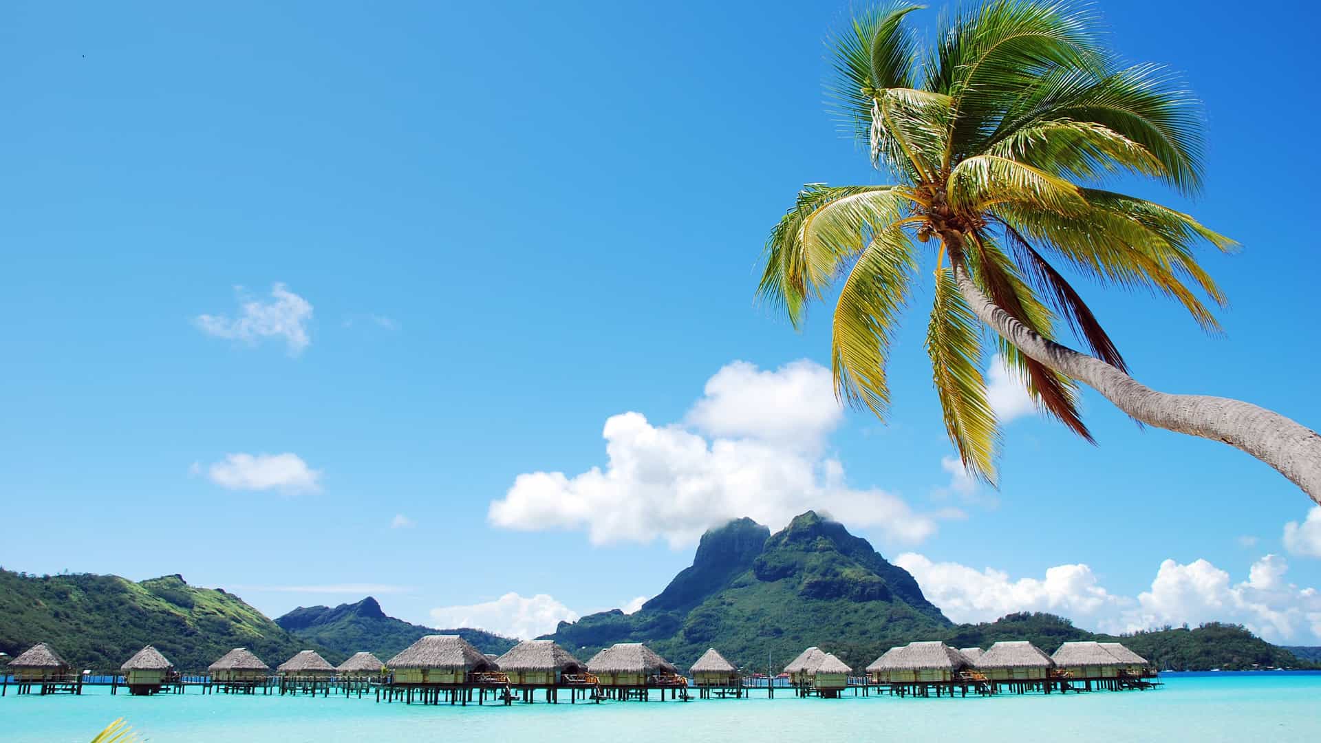 South Pacific overwater bungalows: An idyllic, luxurious Cunard cruise experience.