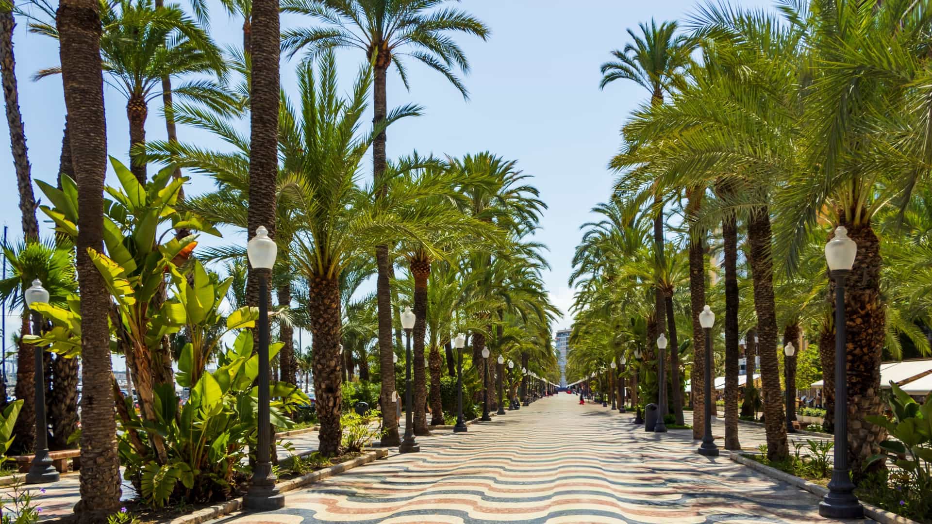 A vibrant, palm-tree-lined walkway of the Explanada de España in Alicante, Spain, featuring the iconic wave-patterned marble pavement and people strolling on a sunny day.