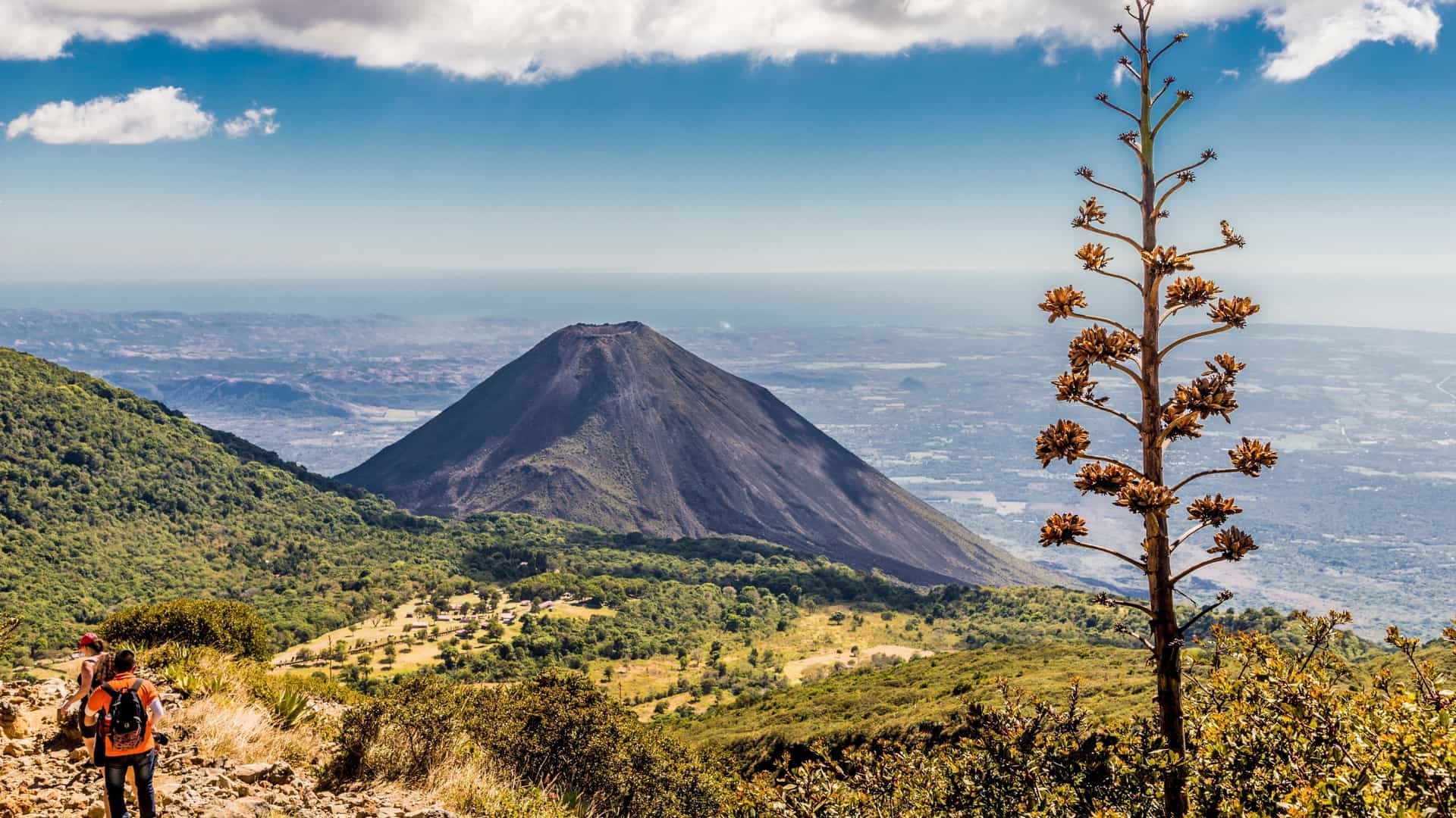 A scenic view of the cone-shaped Volcano Izalco in El Salvador, as seen from a vantage point on the neighboring Santa Ana Volcano, with a lone hiker standing in the foreground observing the landscape.