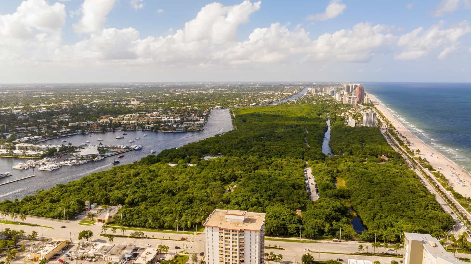 An aerial drone photo of Hugh Taylor Birch State Park in Fort Lauderdale, Florida. The image shows a large, lush green space, often referred to as an urban oasis, situated between the Atlantic Ocean and the Intracoastal Waterway. The park is characterized by dense tropical vegetation, a freshwater lagoon, and recreational trails, all bordered by the developed city landscape.