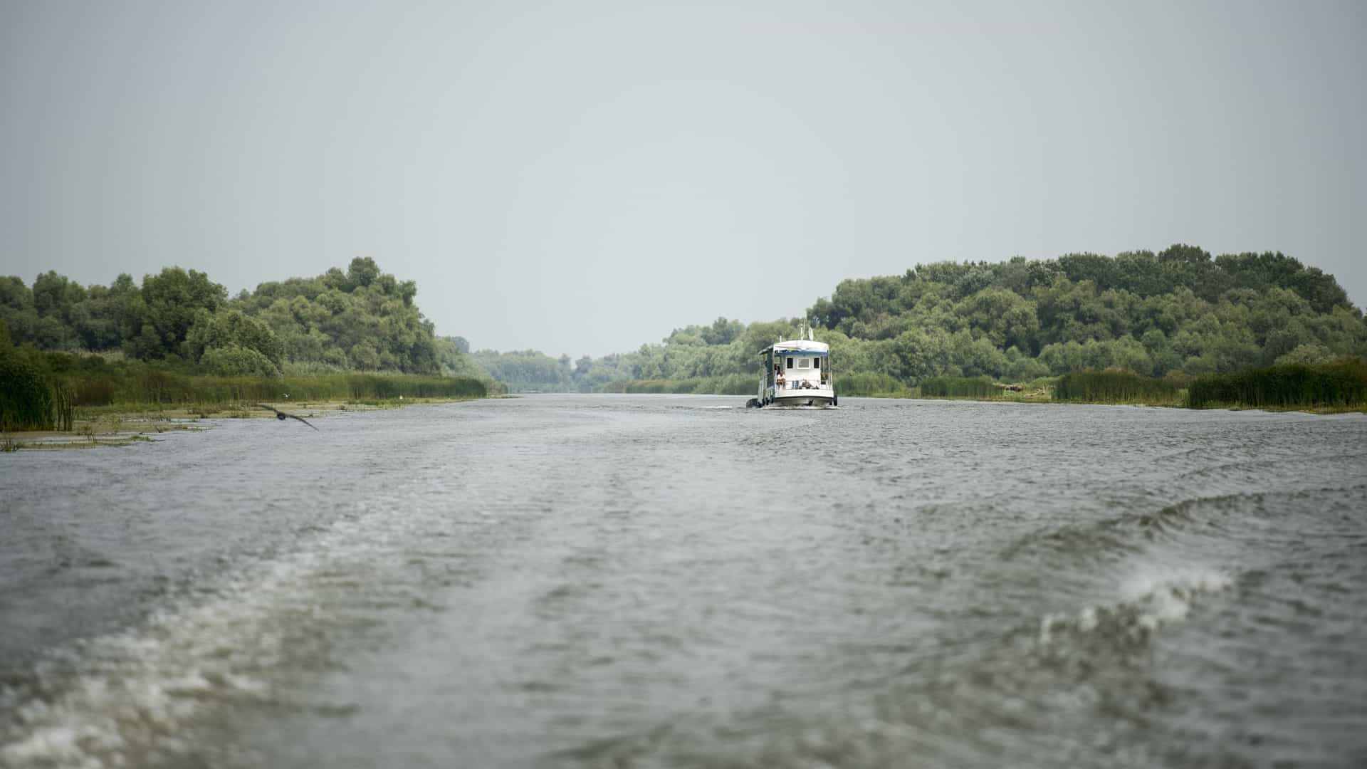 A lone, motorized, flat-bottomed boat carrying a few people moves across the calm, dark waters of a narrow canal in the Danube Delta, Romania, at sunrise. The golden light of the rising sun illuminates the sky and reflects in the water, contrasting with the dark silhouettes of dense, high reeds and marsh vegetation lining both banks of the canal.