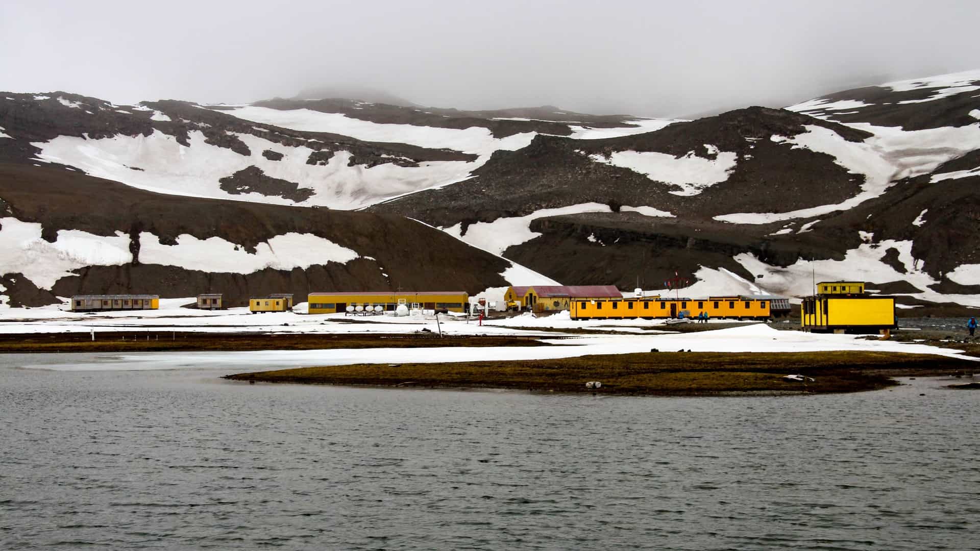 An exterior shot of the Henryk Arctowski Polish Antarctic Station, a Polish research facility on King George Island, Antarctica. The image typically shows a collection of low-slung, modular buildings—often colored in bright, visible tones like red or yellow—set on the rocky, snow-dusted shores of Admiralty Bay. Nearby features may include a small lighthouse, the surrounding Antarctic tundra, and visible colonies of penguins or seals, emphasizing the station's focus on ecology, marine biology, and environmental monitoring.