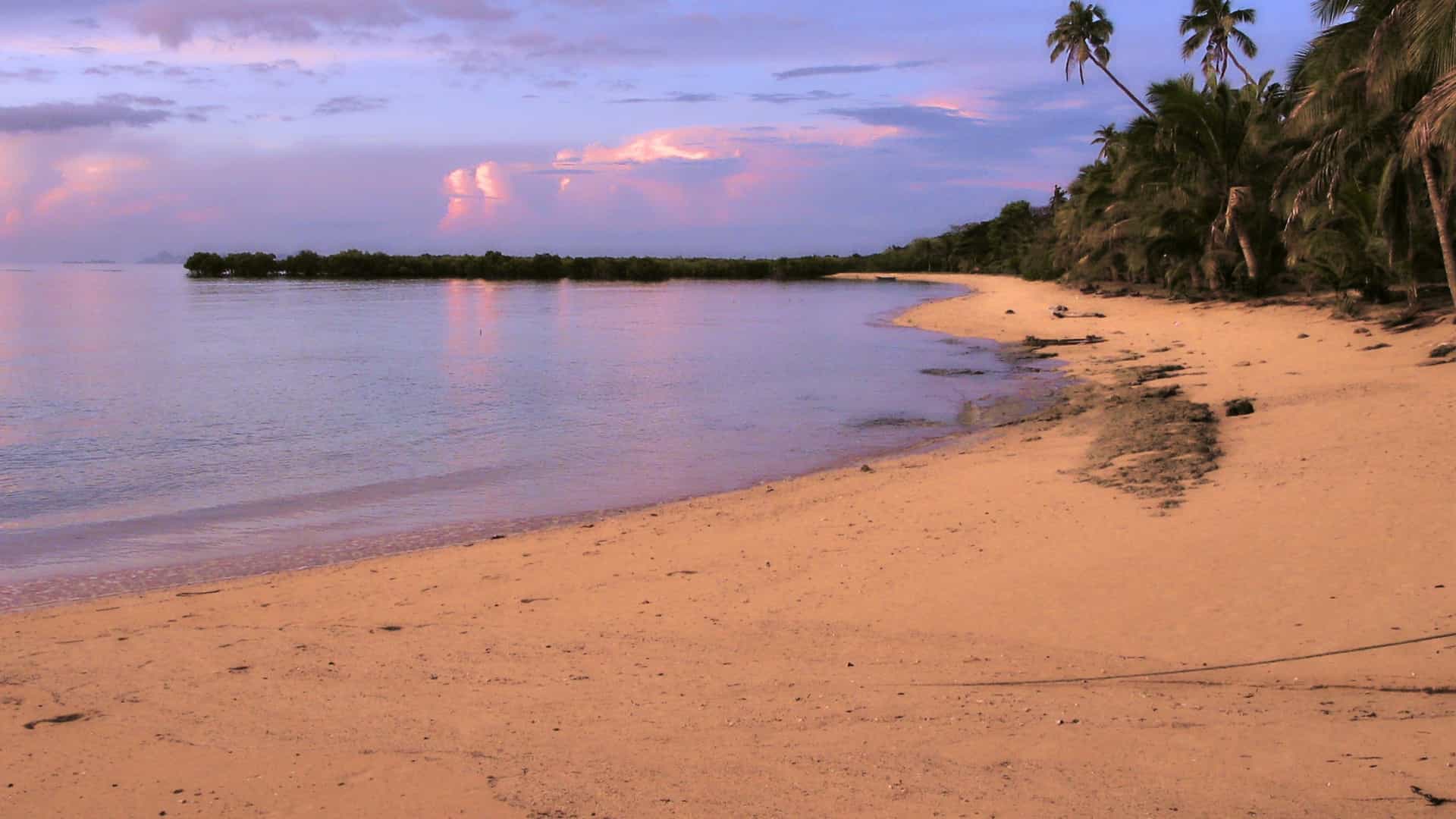 A picturesque view of the palm tree-lined beach at First Landing Resort in Lautoka, Fiji, likely taken around sunset or twilight. The image shows a serene shoreline stretching into the distance, conveying a sense of isolation and peace, with silhouetted palm trees framing the colorful and dramatic sky over the water.