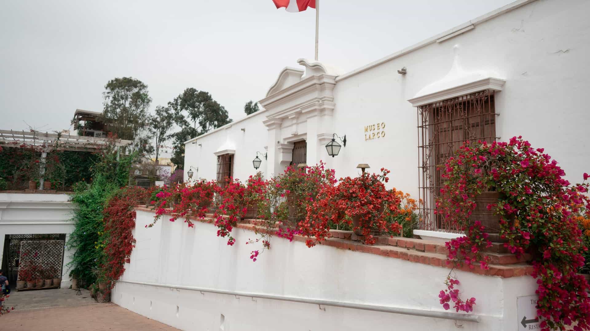 A close-up view of the entrance and facade of the Larco Museum (Museo Larco) in Lima, Peru. The museum is housed in a beautifully preserved 18th-century colonial mansion, which features whitewashed walls, red tile roofs, and dark wooden balconies. The entrance is a grand, intricately carved wooden doorway, partially obscured by lush, colorful purple bougainvillea flowers that frame the courtyard and add a vibrant contrast to the colonial architecture.