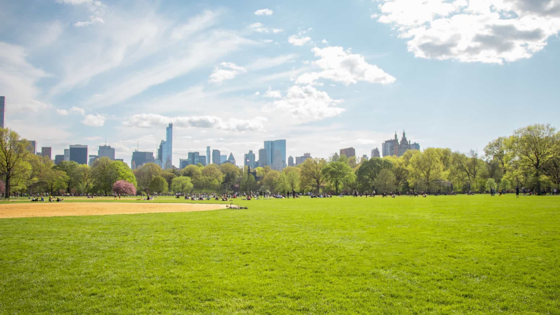 A picturesque view of the Sheep Meadow in Central Park, New York City, featuring a large, sunlit green lawn in the foreground. In the background, the iconic skyscrapers of the Midtown Manhattan skyline, particularly the towers of Billionaires' Row, rise above the trees.