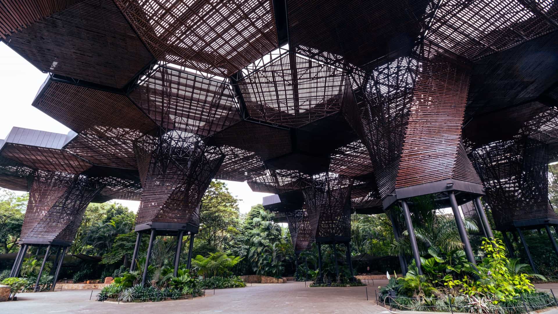 A serene view inside the botanical garden of Medellín, Antioquia, Colombia, showcasing lush tropical greenery, tall palm trees, and pathways. The unique, umbrella-like architectural structure of the Orquideorama can be seen in the background.