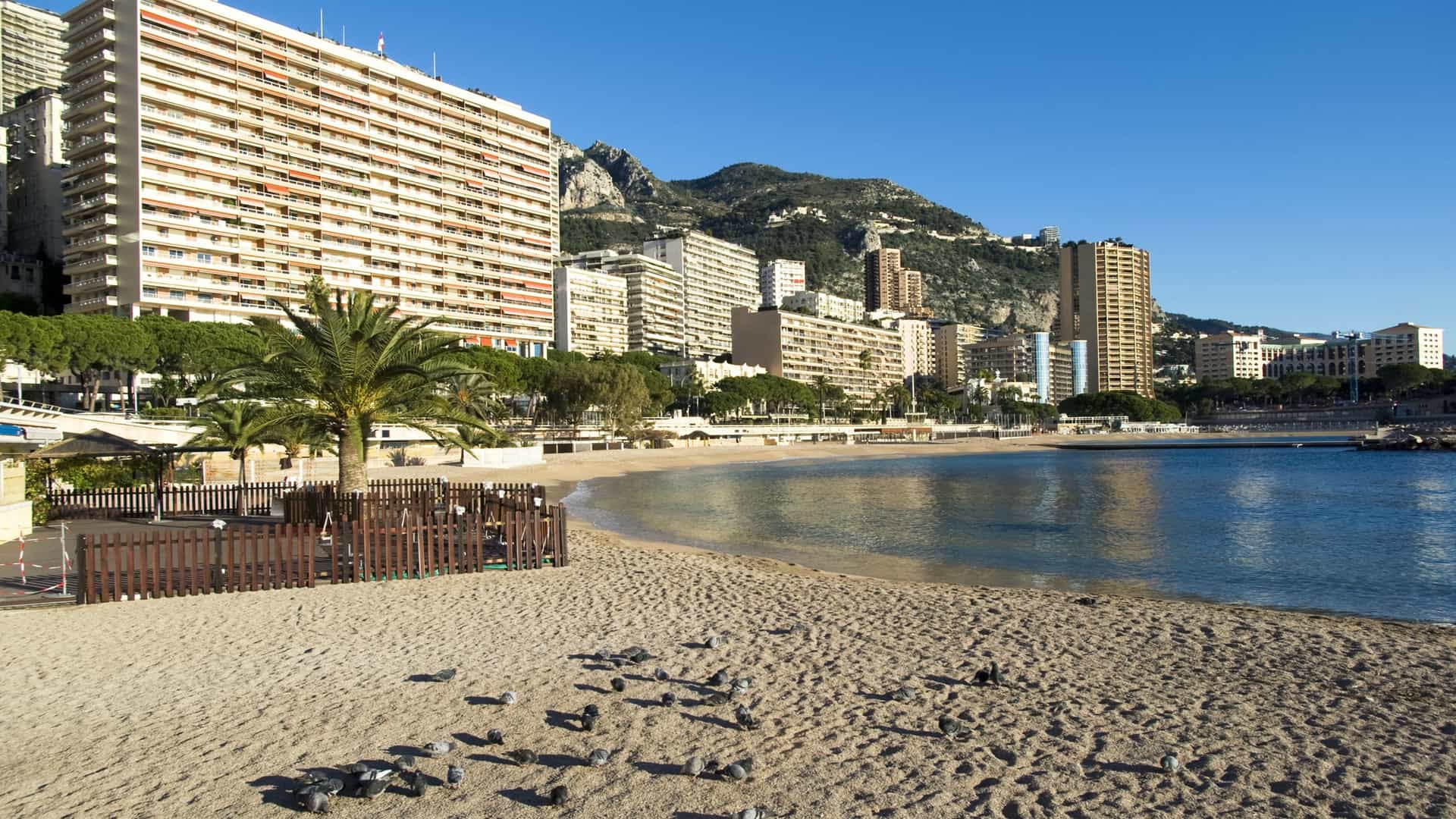 A high-angle or aerial view of Larvotto Beach in Monte Carlo, Monaco, showcasing the curved stretch of man-made pebble beach and the turquoise waters of the Mediterranean Sea. The beach is densely covered with rows of bright sunbeds and umbrellas. In the background, the dense and affluent urban landscape of Monte Carlo, including numerous high-rise residential and commercial buildings, rises steeply against the hillside.