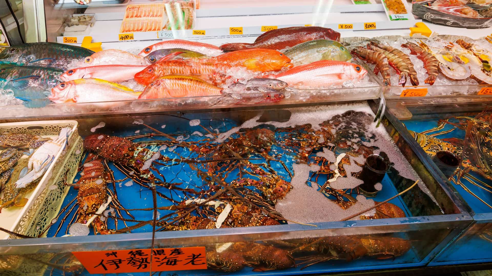 A lively, interior view of the Makishi Public Market in Naha, Okinawa, Japan. The image captures the market's bustling, tropical atmosphere, featuring rows of vendors displaying an abundance of exotic seafood, including brightly colored fish and various local produce, under bright fluorescent lighting.