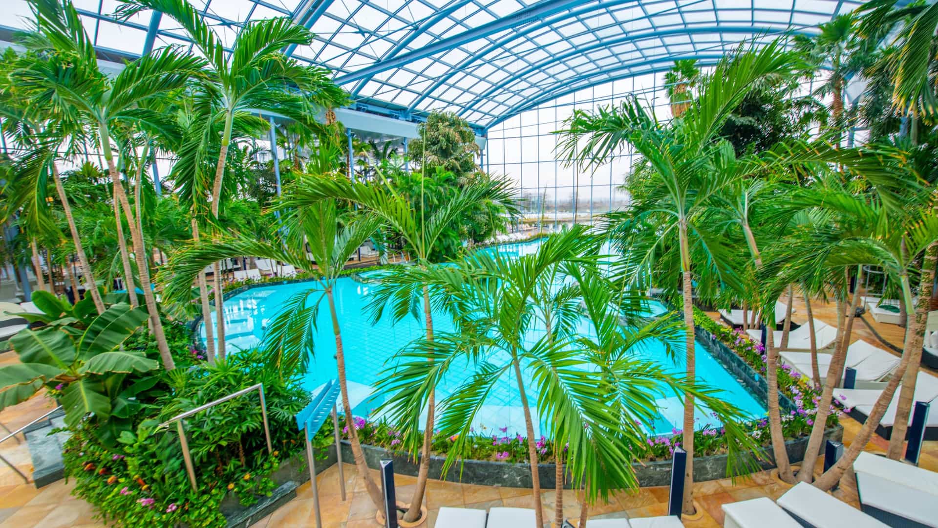  The interior of Therme Bucharest, a large thermal spa complex, features a vast, tropical indoor space with a large pool, numerous palm trees, and lush green plants. The area is filled with natural light and surrounded by modern, glass walled structures, creating a serene and luxurious atmosphere.