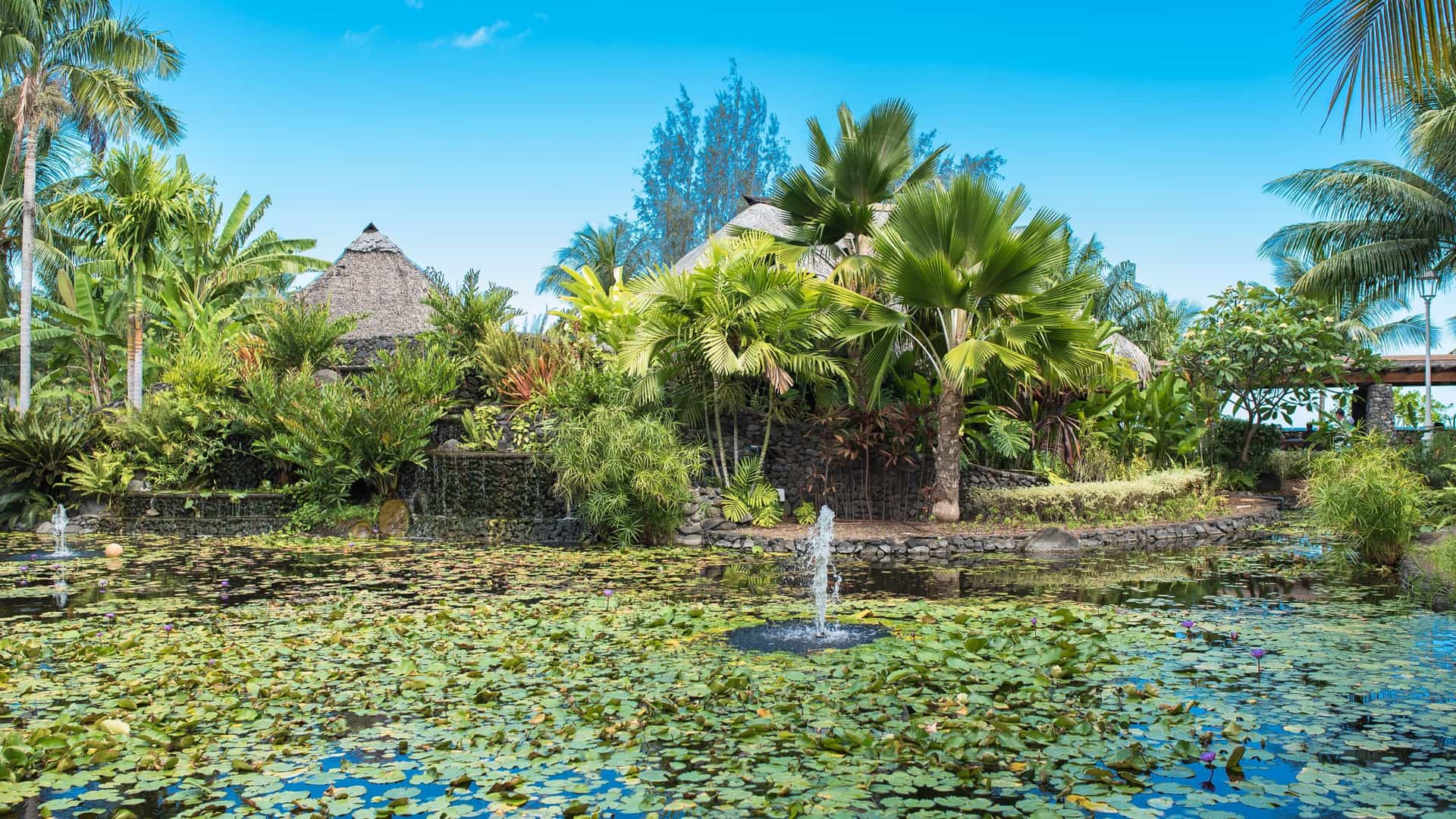 An image of the Paofai Gardens (Jardins de Paofai) in Papeete, Tahiti, French Polynesia. The photo captures a beautifully maintained waterfront park with lush tropical landscaping. The foreground features a wide, paved promenade and expansive, green lawn bordered by mature trees, including royal palms and coconut trees, providing shade. In the background, the serene blue water of the lagoon stretches out, offering views of the iconic, mountainous profile of the island of Moorea in the distance across the bay. The area is a peaceful urban oasis designed for walking and relaxation.
