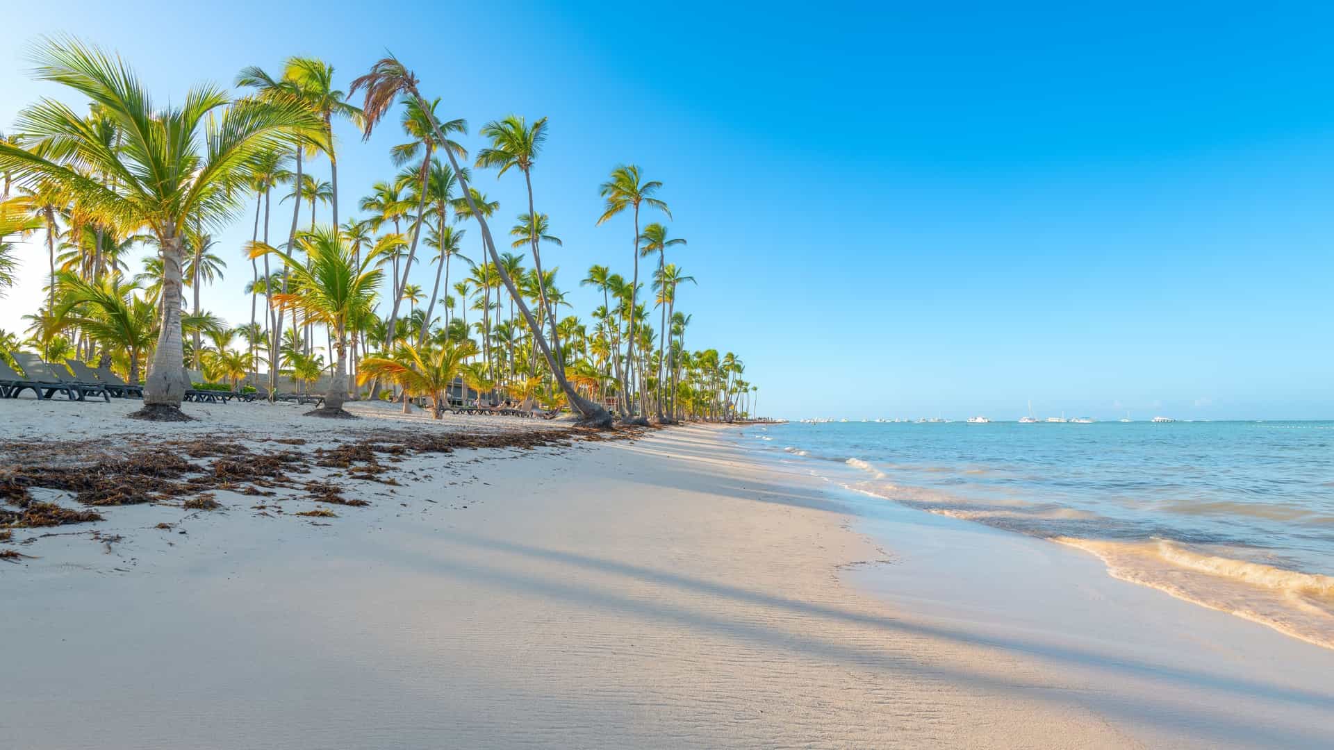 A quintessential Caribbean scene of Bavaro Beach in Punta Cana, Dominican Republic. The photograph features brilliant white sand and dazzling turquoise-blue ocean water. Tall, slender palm trees line the beach, offering natural shade. In the shallow water, two sun loungers are half-submerged, inviting relaxation in the tropical setting.