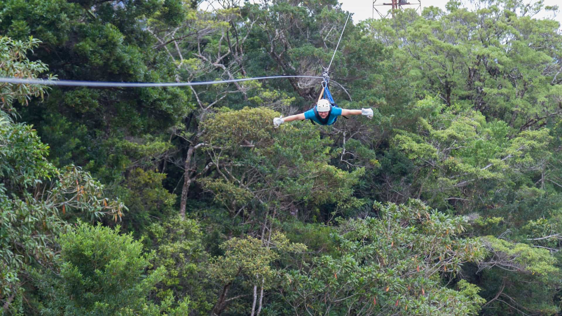 A thrilling, high-angle action shot of a young man on a zipline (canopy tour), "zooming" through a dense Cloud Forest. The man is wearing a safety helmet and harness, traveling at high speed over the lush green canopy of tall trees. The air is often misty or foggy, characteristic of a cloud forest, and the view emphasizes the height and adventure of the experience. The location is commonly associated with Monteverde, Costa Rica.