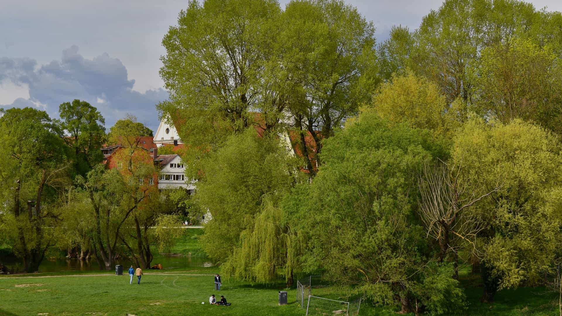 A picturesque view of the Stadtpark (City Park) in Regensburg, Germany, showing a wide, green lawn leading to a small body of water. Lush, mature trees, including a prominent weeping willow, dominate the scene, with a glimpse of a historic white building with red roofs visible through the foliage in the background.