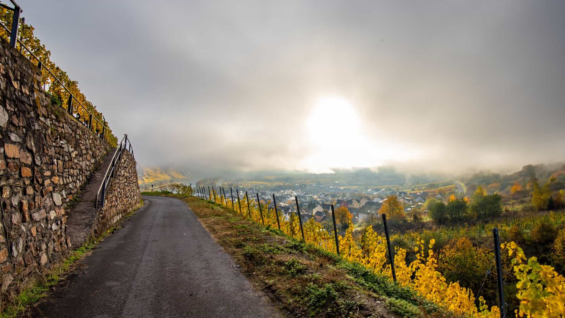 An aerial view of the Moselschleife (Moselle Loop), showcasing the Moselle River carving a dramatic, near 180-degree bend through steep, terraced vineyards on the Calmont mountain. This area is a popular hike part of the Moselle Wine Route.