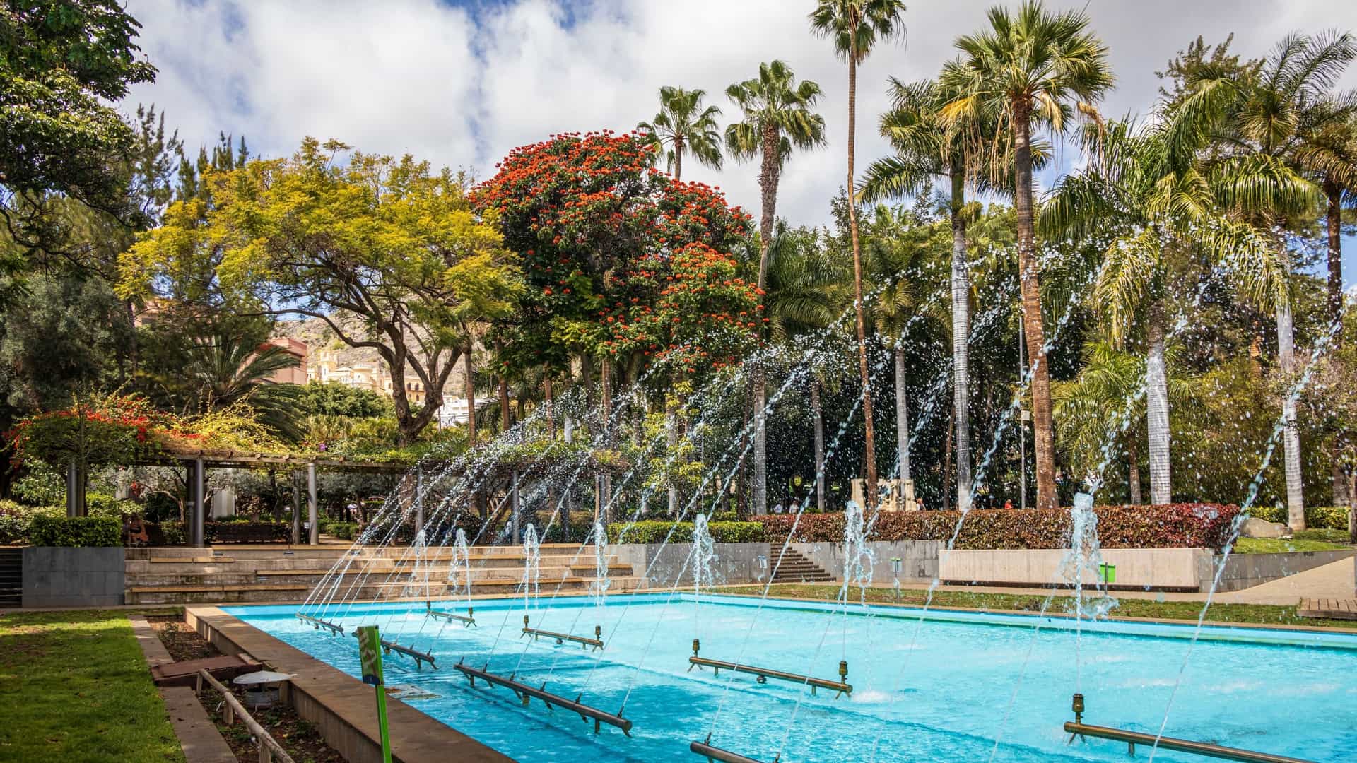  A view of the lush, tropical vegetation within the Parque García Sanabria, the main urban park in Santa Cruz de Tenerife, Canary Islands, Spain. The park features winding pathways, various subtropical trees and plants, and is known for its combination of garden areas, fountains, and sculptures.