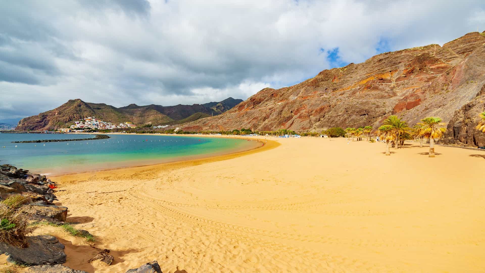  A panoramic view of the artificial, golden sand Playa de Las Teresitas beach in Tenerife, with its tranquil turquoise waters protected by a breakwater. Rows of tall palm trees line the extensive shoreline, and the steep, lush mountains of the Anaga Rural Park form the dramatic backdrop.
