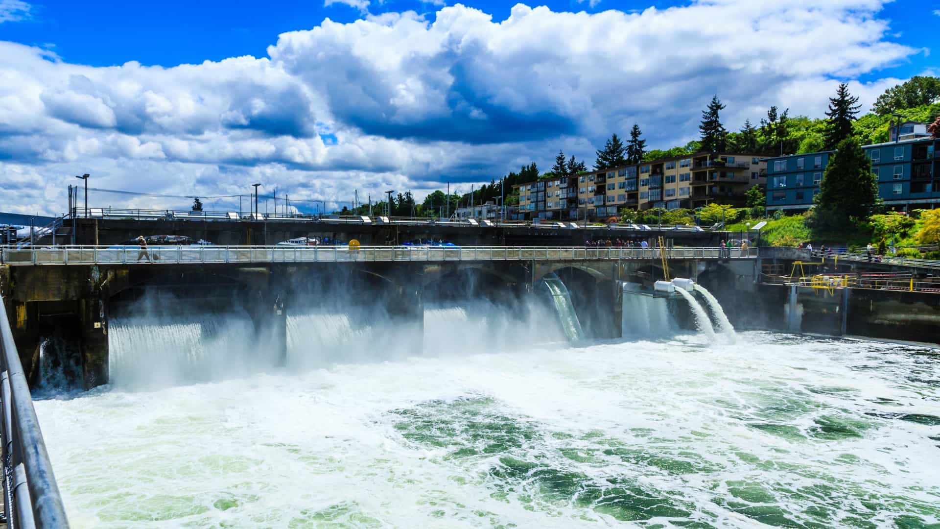 A view of the fish ladder at the Hiram M. Chittenden Locks (Ballard Locks) in Seattle. The fish ladder is a stepped series of concrete pools and flowing water, designed to help migrating salmon, such as Sockeye, Chinook, and Coho, swim upstream from the saltwater of Puget Sound to the freshwater of the Lake Washington Ship Canal and on to their spawning grounds. An underground viewing room allows visitors to watch the salmon migrate through a glass-paneled section of the ladder.