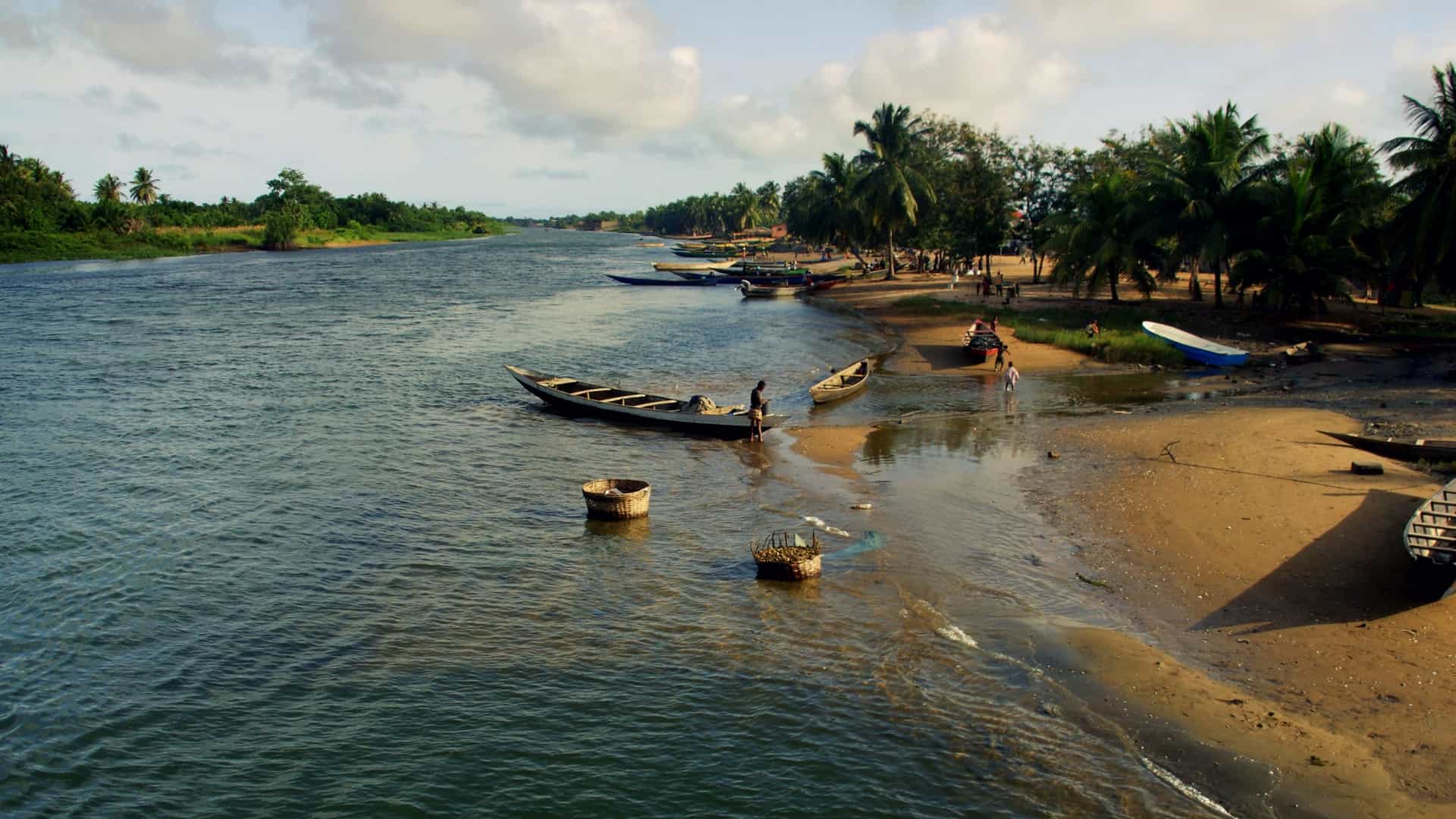  A scenic view of the shoreline at the Volta River estuary near Ada Foah, Ghana. The tranquil river water, which is near the point where it meets the Gulf of Guinea, is lined with sandy banks and numerous tall, slender palm trees. A traditional wooden fishing boat is likely visible on the water or resting on the shore.