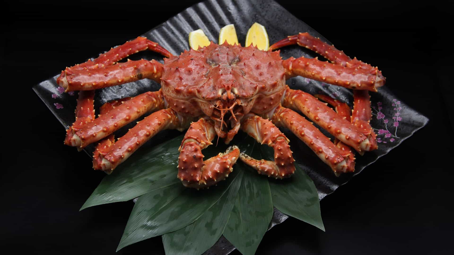  A close up, top down view of several large, bright red steamed Alaskan King Crab legs and claws, segmented and arranged neatly on a platter, ready to be eaten. The rich color of the crab shells contrasts with the white surface underneath, highlighting the succulent seafood, often served with melted butter or lemon.