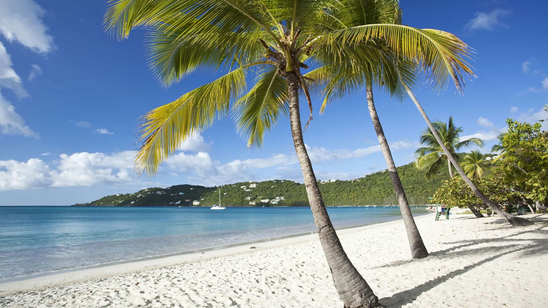 Magens Bay Beach on the island of St. Thomas in the U.S. Virgin Islands, an Eastern Caribbean destination. The image shows a pristine white sand beach with two tall palm trees leaning toward the turquoise-colored water. A small boat is anchored in the calm bay. The distant shoreline is lined with green, tropical hills dotted with white houses. The sky is a bright blue with scattered white clouds, creating a picture-perfect scene of a typical Eastern Caribbean beach.