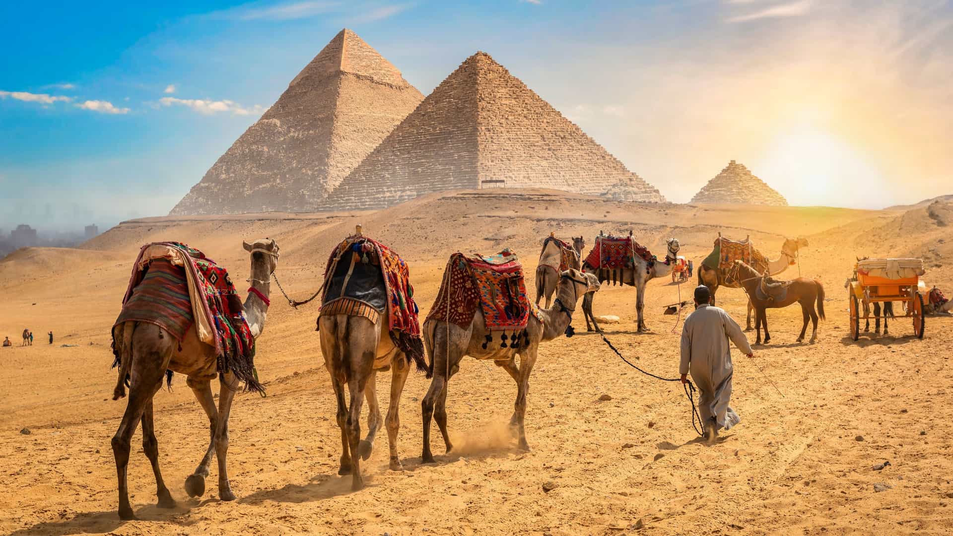 Explora journey view of camels walking in front of the historic Giza pyramids in Egypt.