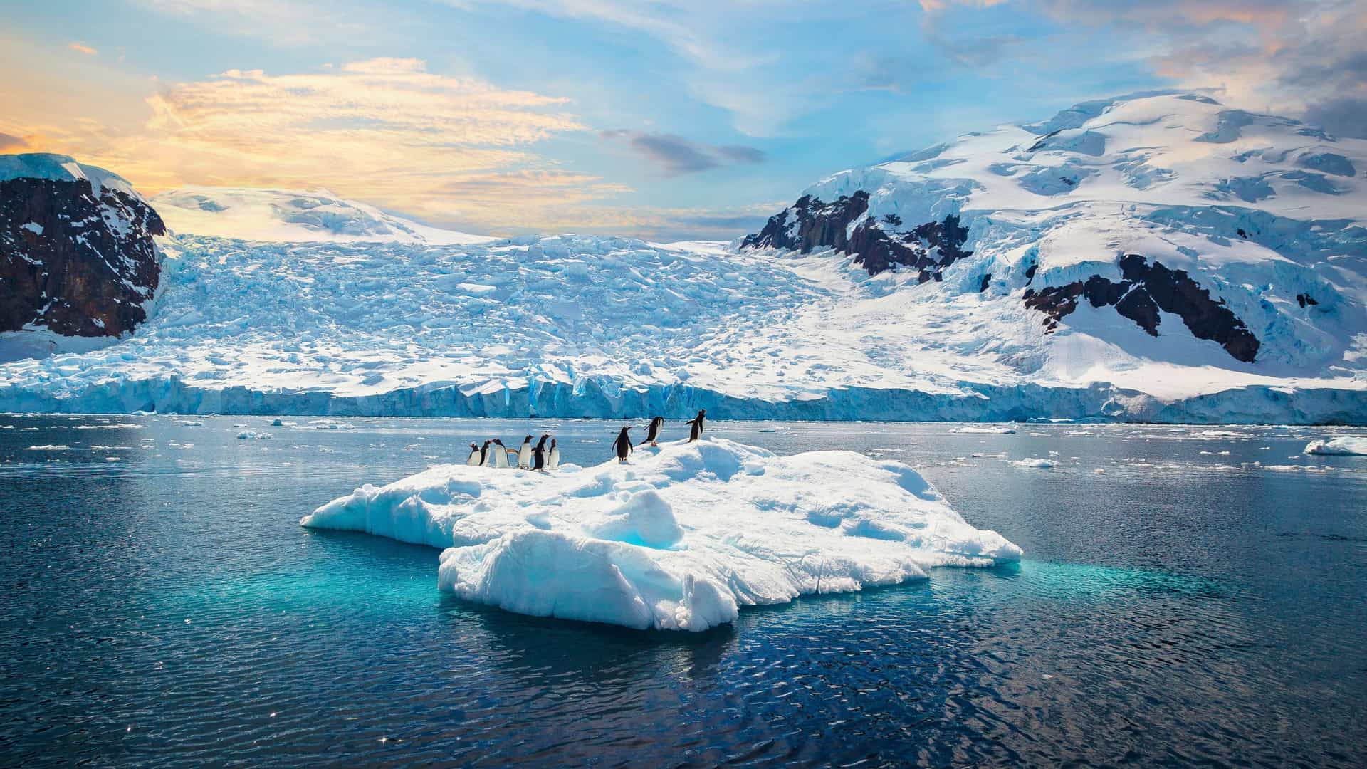 Witness unique wildlife in Antarctica: Penguins on an ice floe, a highlight of a Holland America cruise.