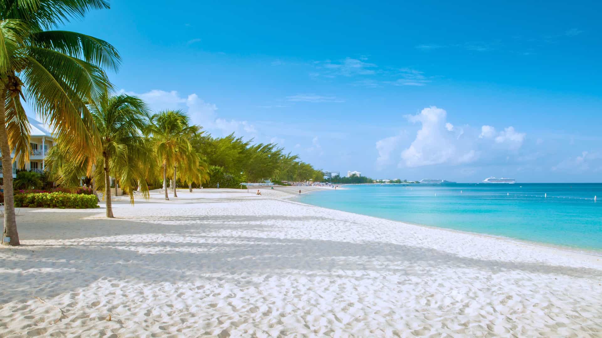 A serene white sand beach with palm trees in the Western Caribbean, likely a destination on a Holland America cruise.