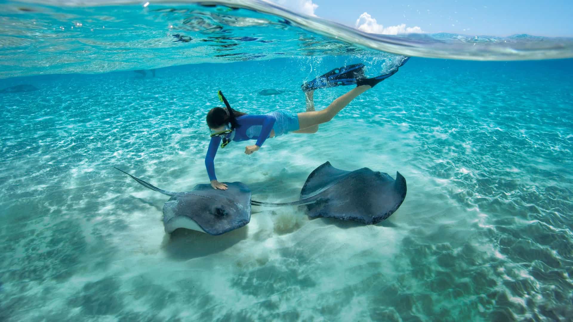 A woman snorkels with stingrays at Grand Cayman, a stop on a Holland America cruise in the Eastern Caribbean.