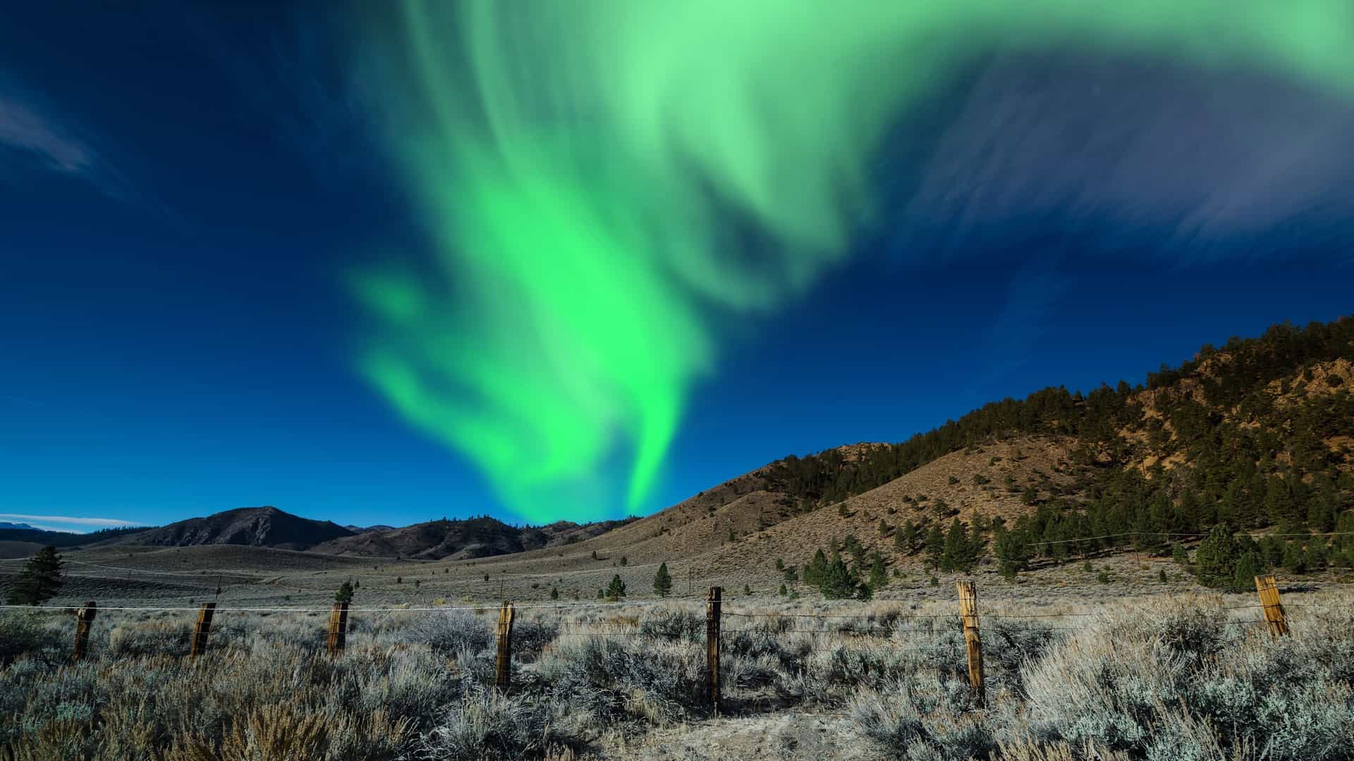 Stunning Aurora Borealis over Iqaluit, Nunavut with green northern lights illuminating the night sky above a mountainous, forested tundra landscape.
