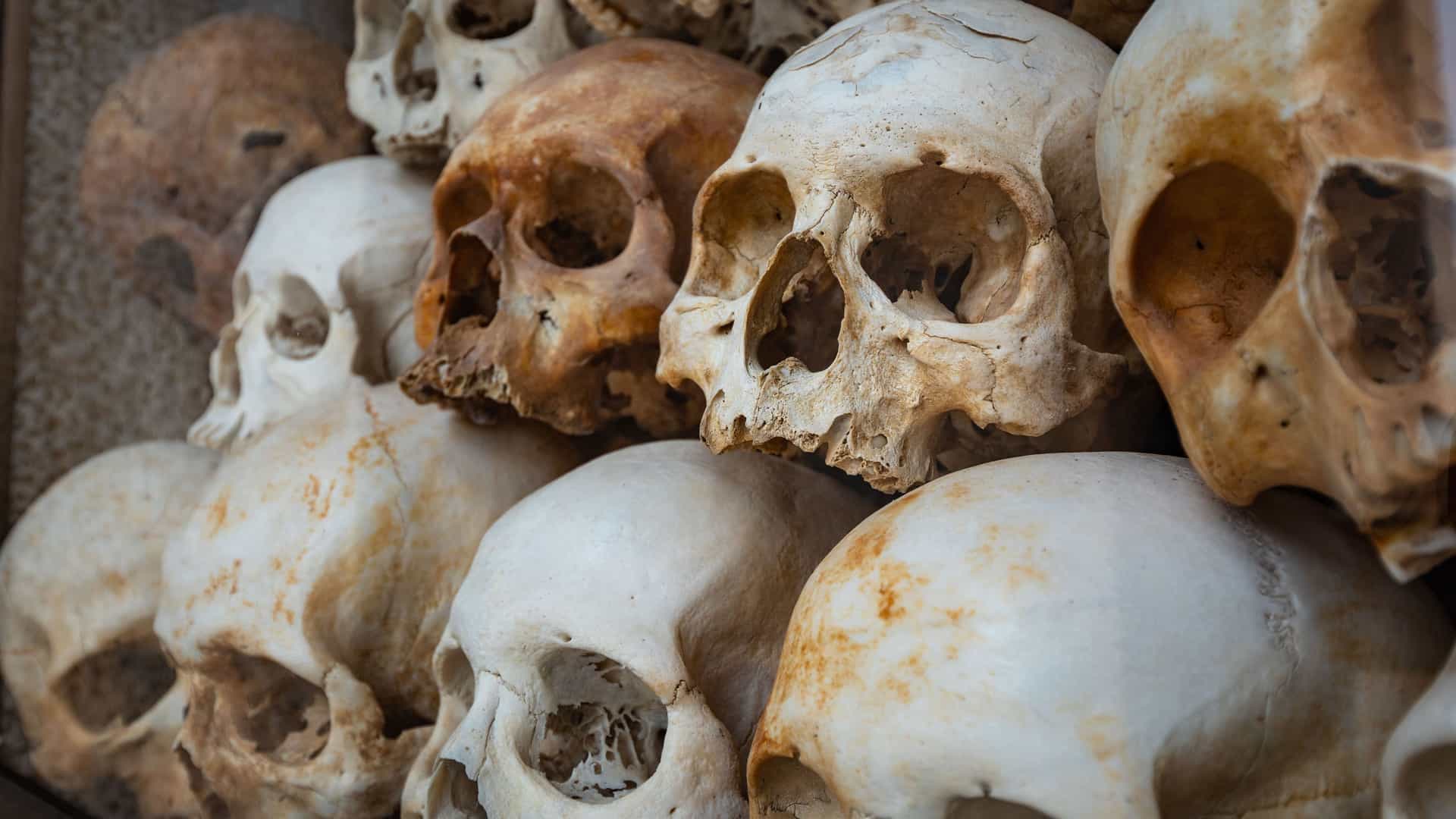 A somber close-up of a large collection of human skulls, stacked on shelves inside a glass display case at the Choeung Ek Killing Fields Memorial in Phnom Penh, Cambodia. The skulls are of various ages and conditions, some showing signs of damage. The image is a powerful and stark reminder of the tragic history of the Khmer Rouge regime, a significant site in the Mekong River region's history.