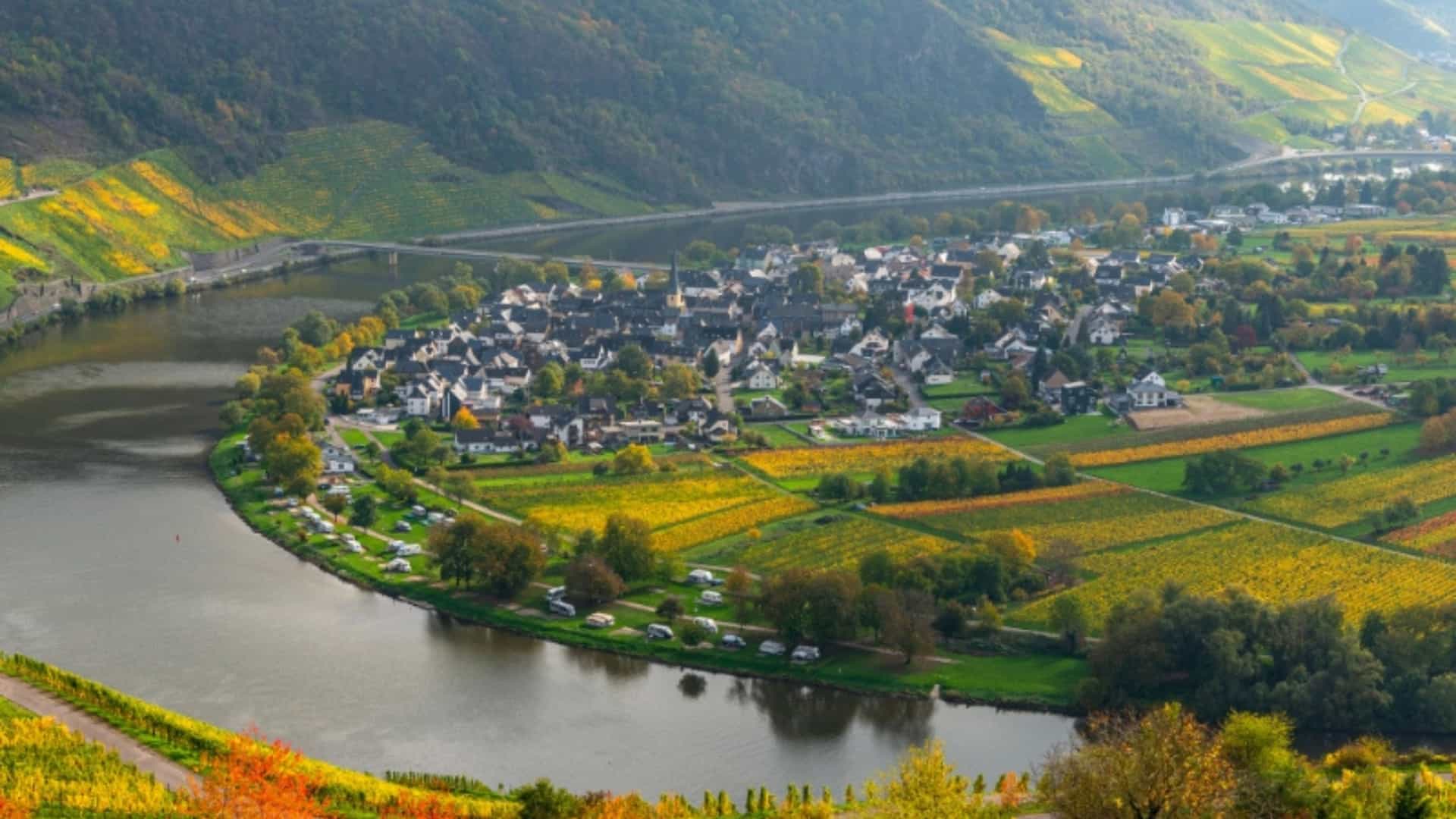 An elevated view of a small German village nestled in a wide, winding bend of the Moselle River. The village is surrounded by a landscape of rolling hills and terraced vineyards, which are a vibrant mix of yellow, green, and brown in the autumn season. A bridge crosses the river in the background, and a road follows the curve of the water. The image captures the serene and picturesque agricultural landscape of the Moselle River Valley in Germany.