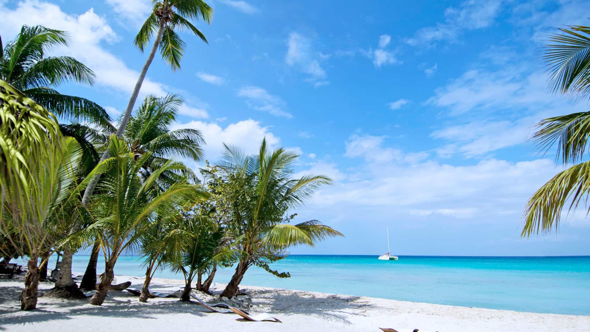 White sand beach with palm trees, lounge chairs, and a sailboat in La Romana, Dominican Republic, Caribbean.