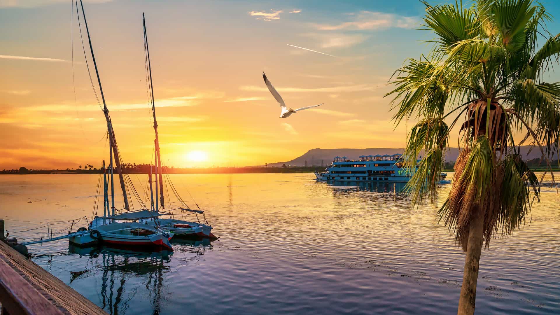 Sunset over the Nile River in Luxor, Egypt, with sailboats near the shore, a palm tree in the foreground, and a bird flying in the sky.