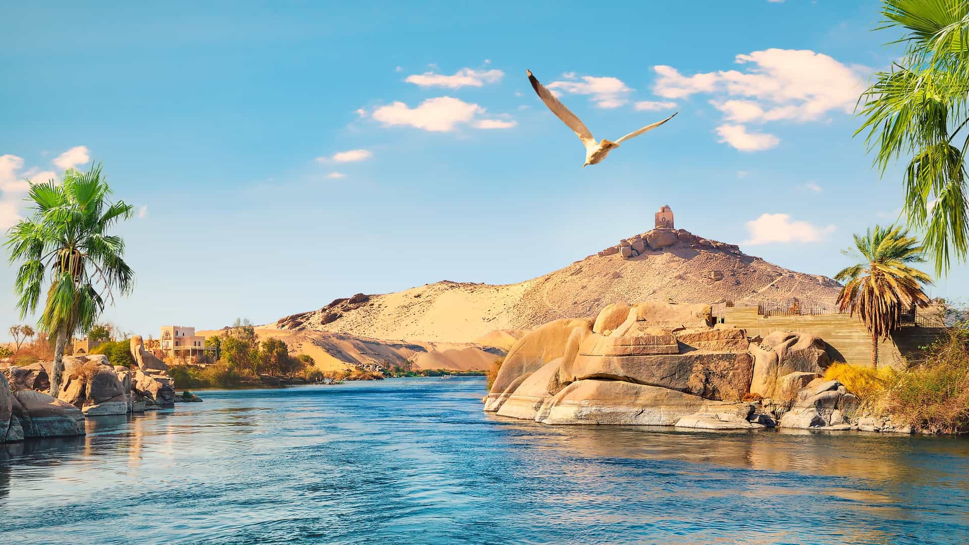 A scenic view of the historic Nile River in Egypt, with palm trees, ancient ruins on the sandy bank, and a bird flying in the sky.