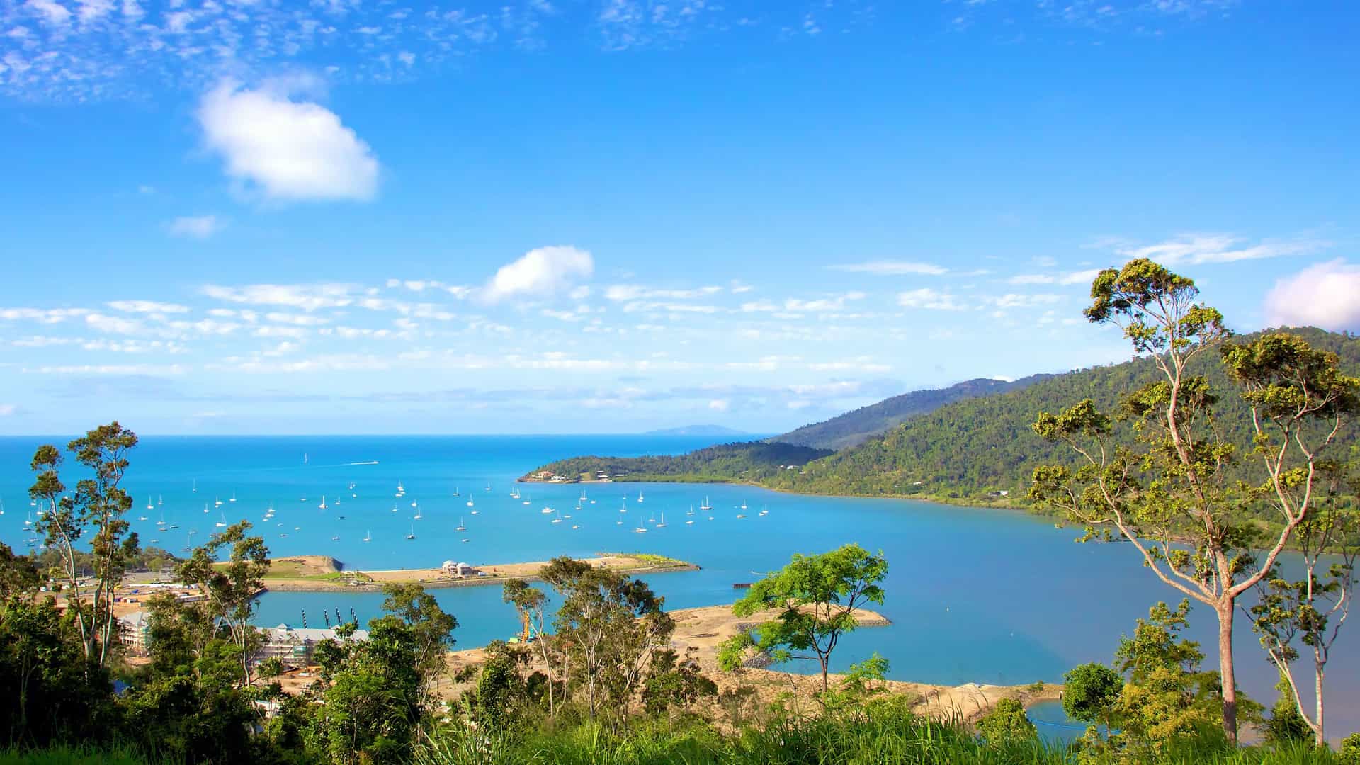 A high-angle view of Airlie Beach, Australia, with a large marina filled with sailboats and the lush green coastline of the Whitsundays in the background.