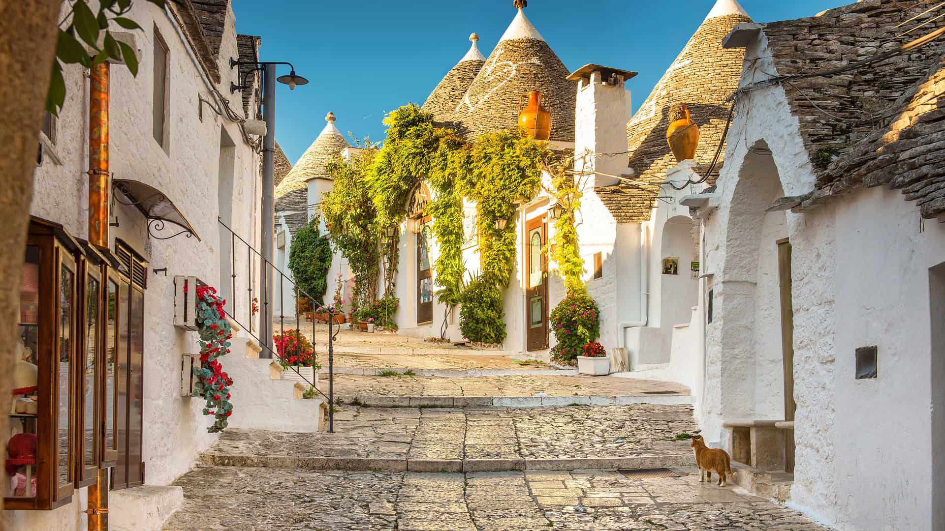 A quaint cobblestone street in Alberobello, Italy, is lined with the unique, conical-roofed trulli houses with whitewashed walls. Flowering plants and green vines adorn the buildings, and a small, orange cat stands in the foreground, looking up the street. The scene is bathed in warm sunlight under a clear blue sky.