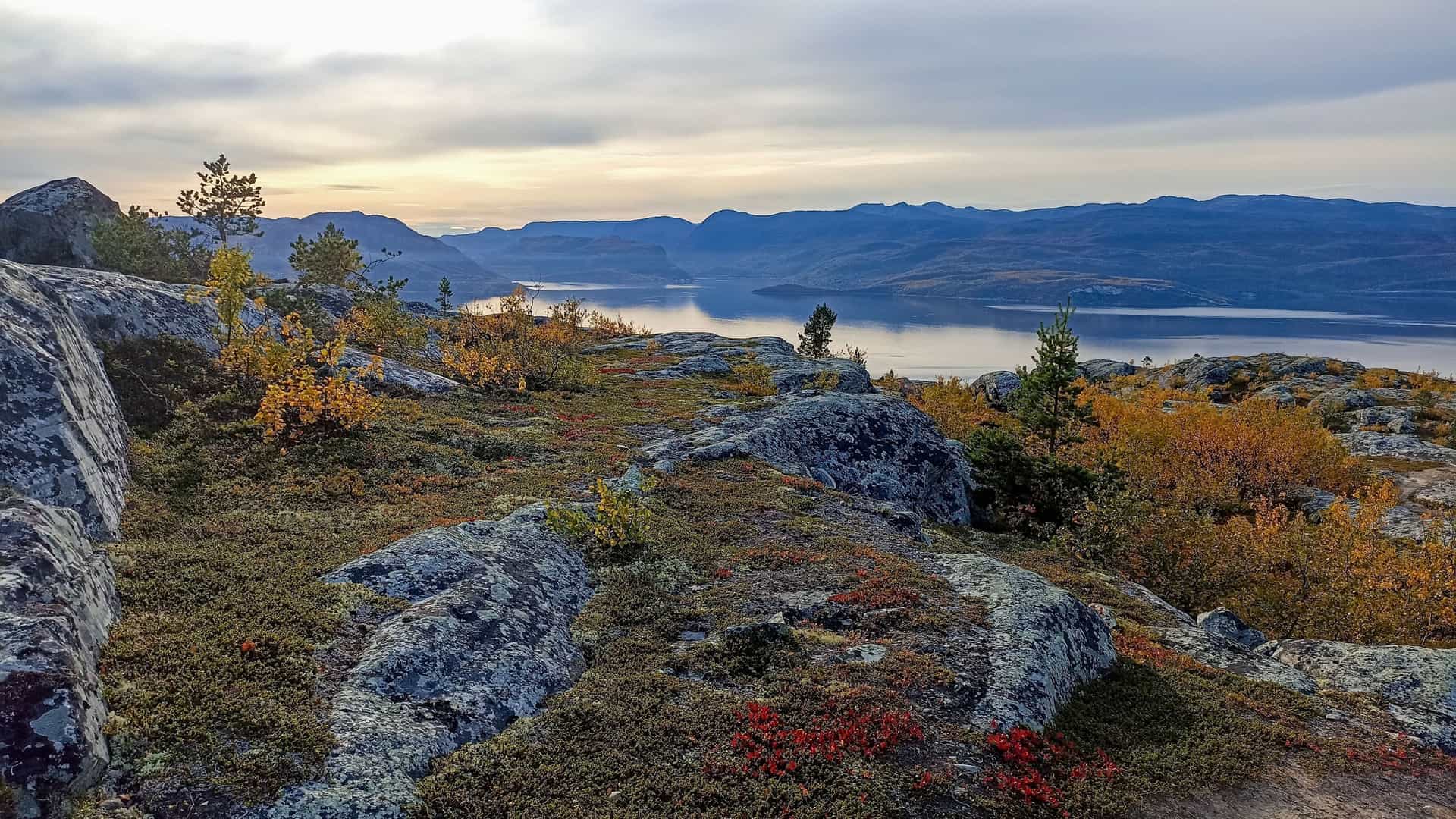 A scenic view of the Alta Fjord in Norway during autumn, with colorful trees and rugged rocks in the foreground and a calm body of water with distant mountains under a cloudy sky.