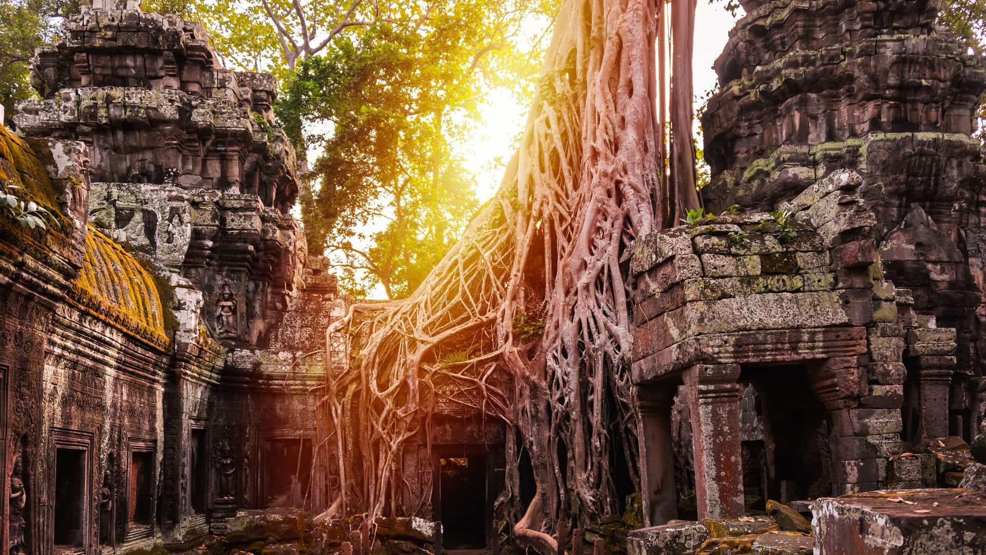 A dramatic sunrise photograph of the ancient ruins of the Ta Prohm temple in Angkor Thom, Cambodia, with massive tree roots intertwined with the stone structures.