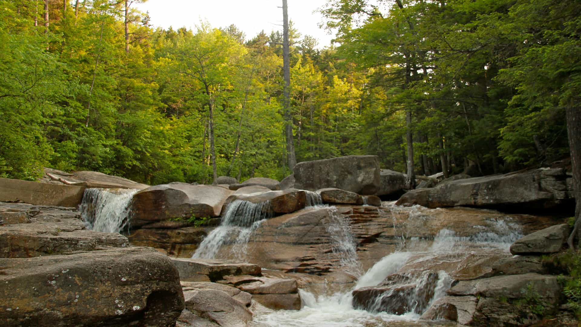 A peaceful natural scene of a stream with water cascading over smooth, large rocks in a series of small waterfalls. The scene is set in a dense forest with tall pine and deciduous trees in Bartlett, New Hampshire.