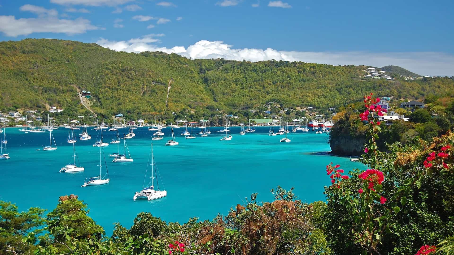 A scenic landscape view of Admiralty Bay in Bequia, St. Vincent and the Grenadines, with dozens of sailboats moored on the vibrant turquoise water, surrounded by lush green hills.