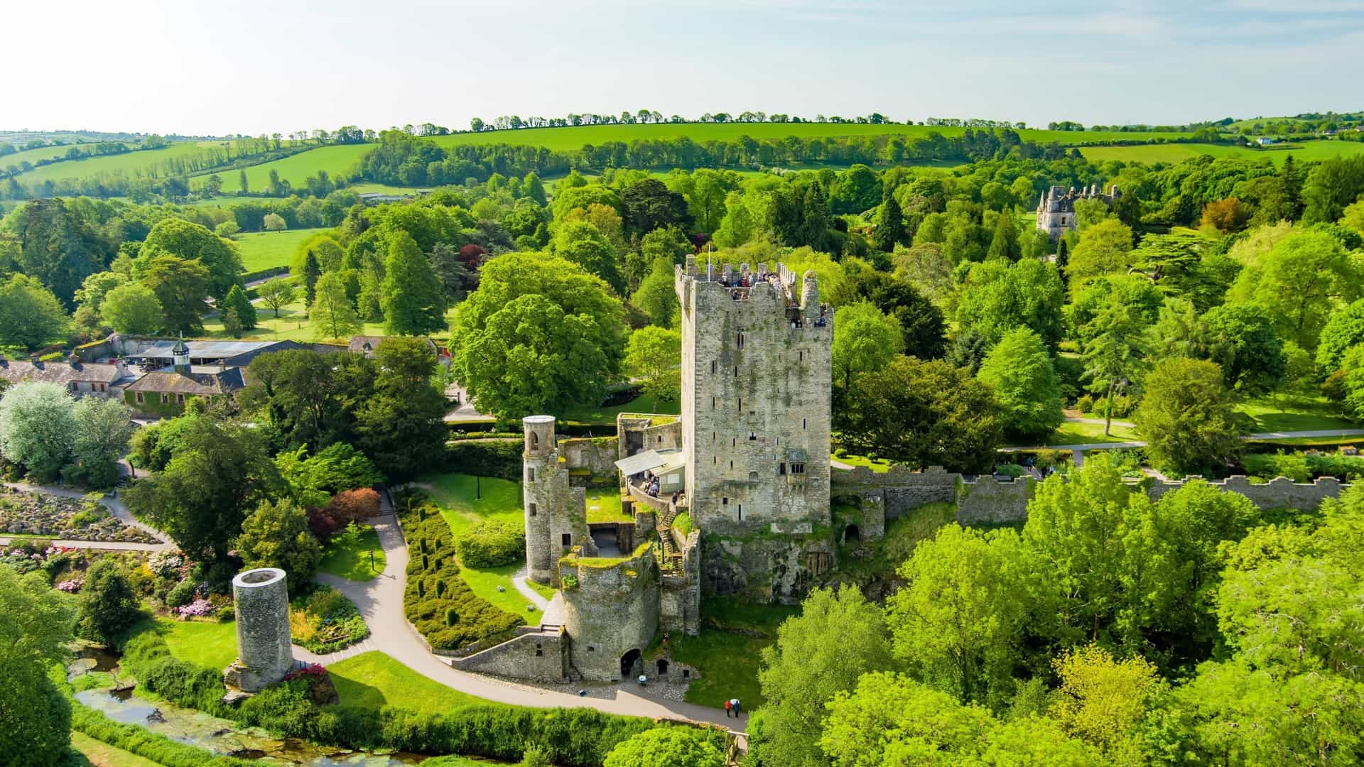 A vertical shot of the medieval Blarney Castle in Blarney, near Cork, Ireland. The formidable grey stone tower house, partially ruined but still grand, is surrounded by lush green trees and foliage, with a bright blue sky overhead. The castle is famous for housing the Blarney Stone at its summit.