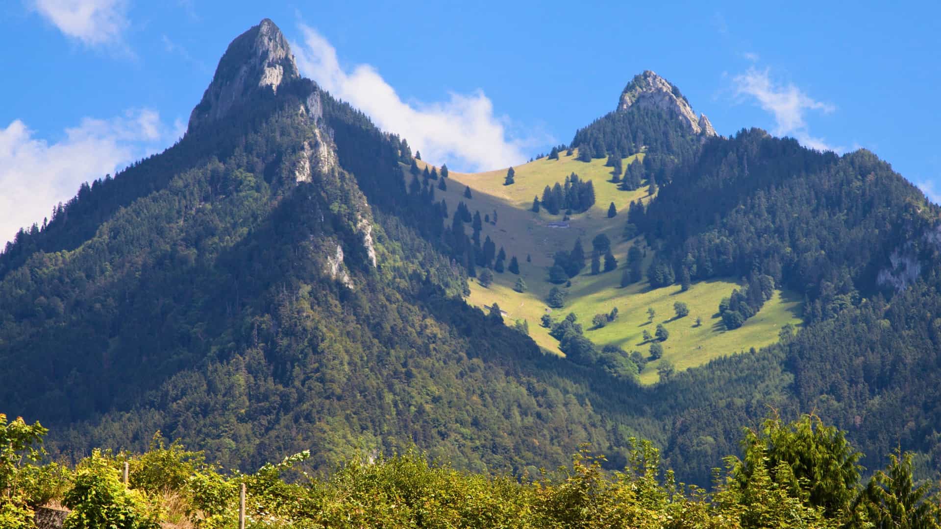 A scenic landscape of jagged mountain peaks and lush green forests in Broc, Switzerland, with a grassy clearing in the middle and a bright blue sky with white clouds in the background.