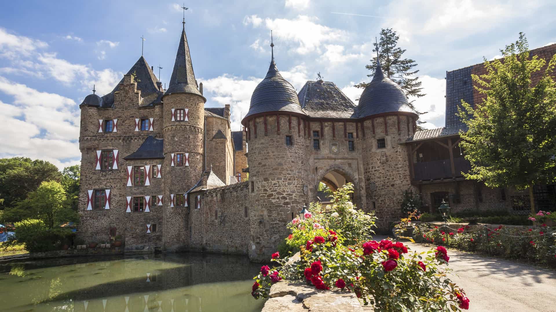 Burg Satzvey, Germany stands as a medieval water castle with towers and ramparts, reflected in the surrounding moat, framed by red roses and trees.